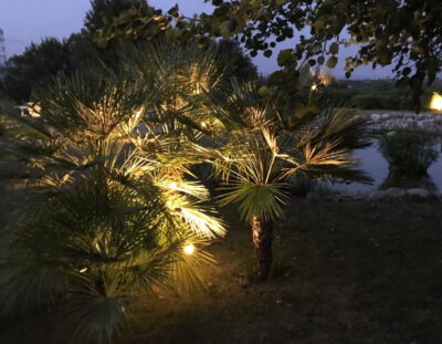 Illuminazione giardino