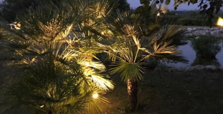 Illuminazione giardino